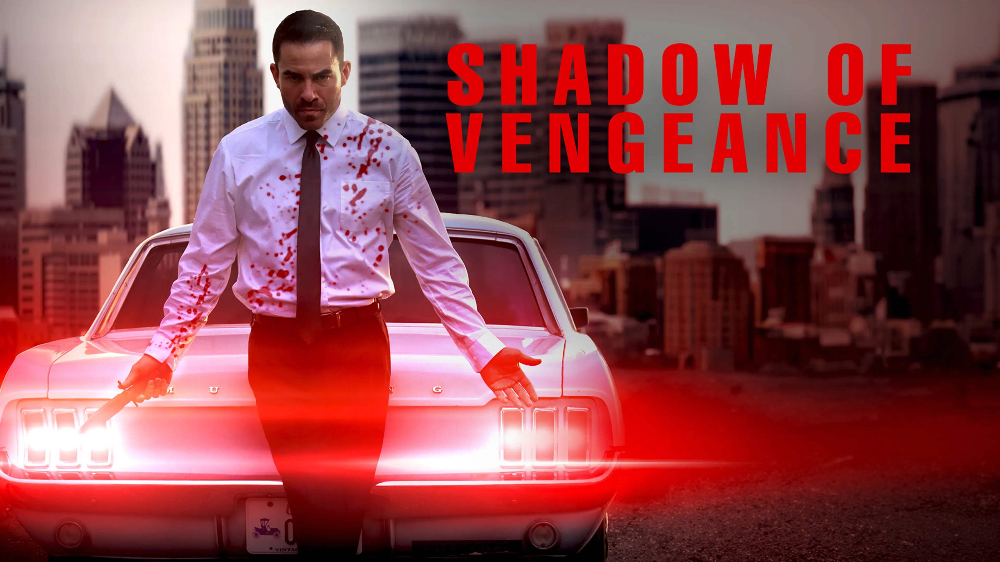 Shadow of Vengeance poster
